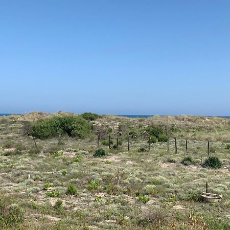 Mon Petit Paradis, Vue Sur Dunes Et Mer, Acces Direct Plage Robinson, Terrasse, Parking Prive, Tres Ressourcant, A Marseillan Plage Marseillan (Herault) Exterior foto