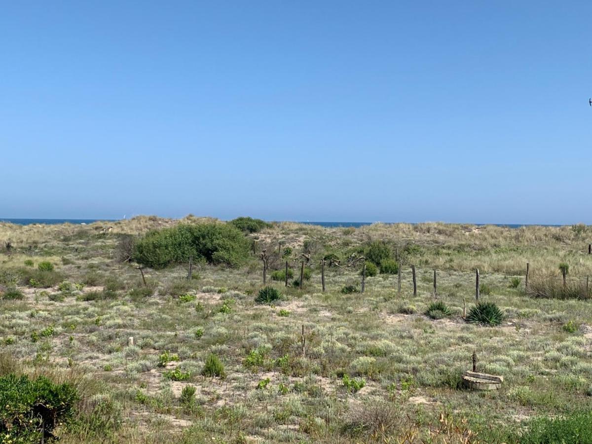 Mon Petit Paradis, Vue Sur Dunes Et Mer, Acces Direct Plage Robinson, Terrasse, Parking Prive, Tres Ressourcant, A Marseillan Plage Marseillan (Herault) Exterior foto